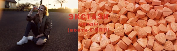 индика Нестеровская