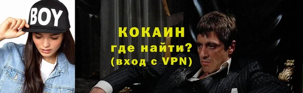 стафф Осинники