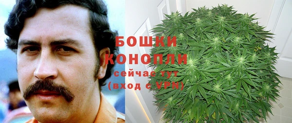 гидропоника Абаза