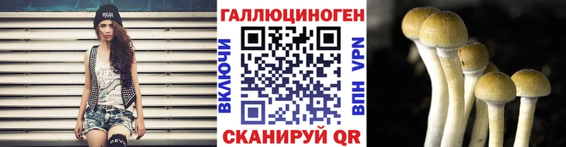 Псилоцибиновые грибы прущие грибы  купить наркотики сайты  Кудымкар 